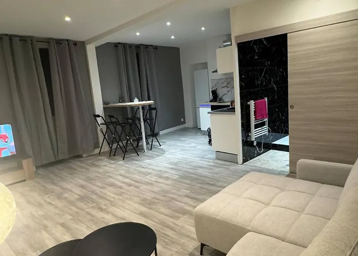 Le Spacieux Apartment *